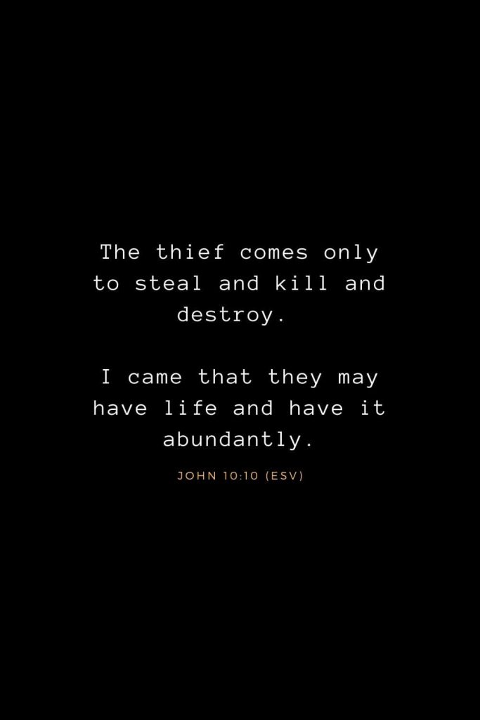 Bible Verses about Life (3): The thief comes only to steal and kill and destroy. I came that they may have life and have it abundantly. John 10:10 (ESV)