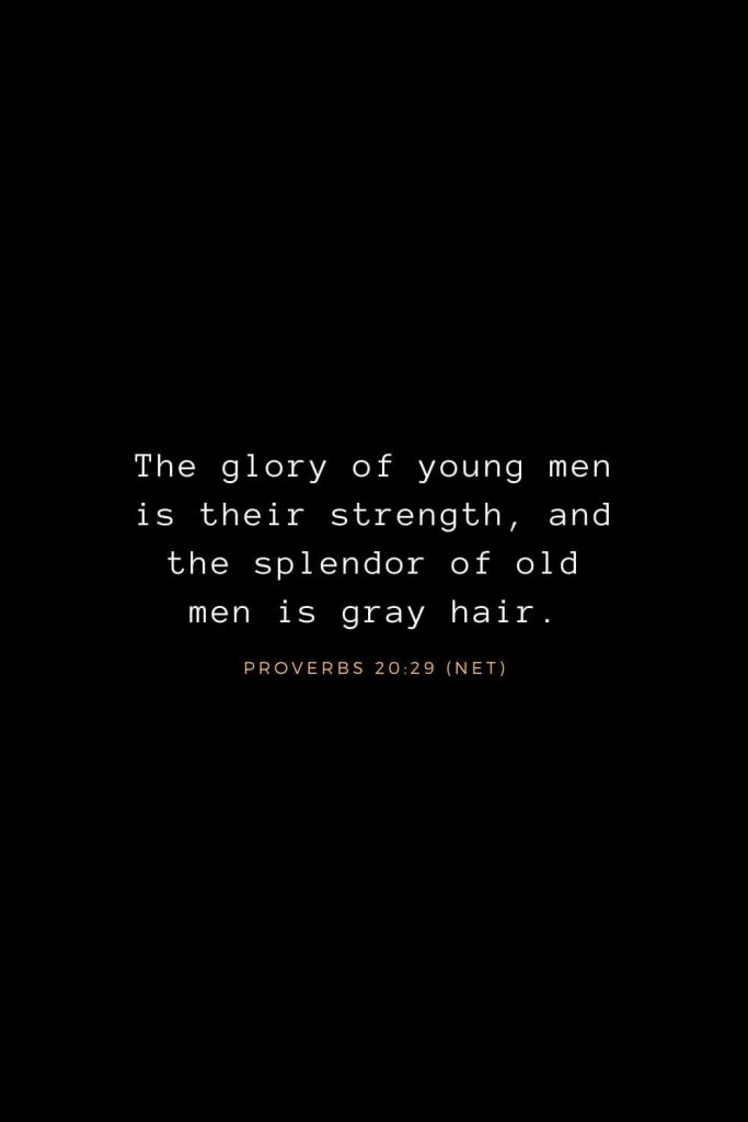 Bible Verses about Life (8): The glory of young men is their strength, and the splendor of old men is gray hair. Proverbs 20:29 (NET)