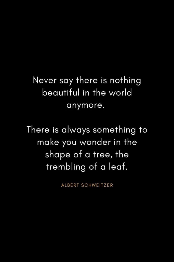 Christian Words of Inspiration (25): Never say there is nothing beautiful in the world anymore. There is always something to make you wonder in the shape of a tree, the trembling of a leaf. - Albert Schweitzer