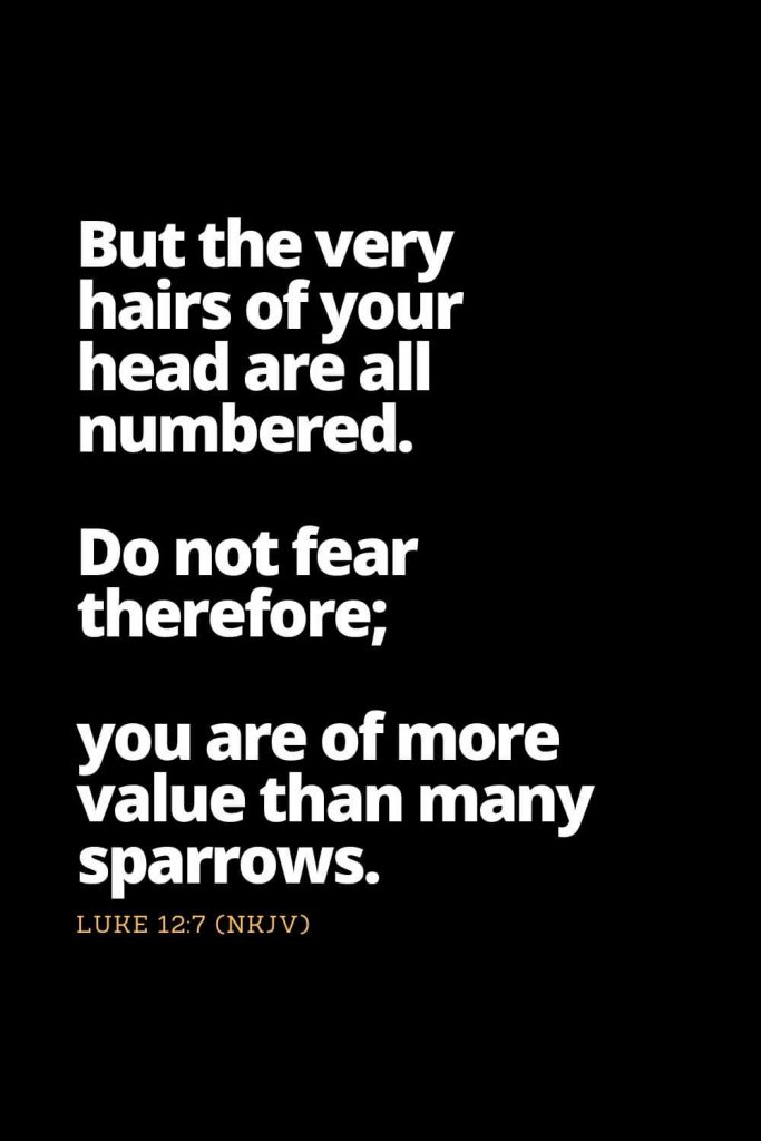 Motivational Bible Verses (17): But the very hairs of your head are all numbered. Do not fear therefore; you are of more value than many sparrows. Luke 12:7 (NKJV)