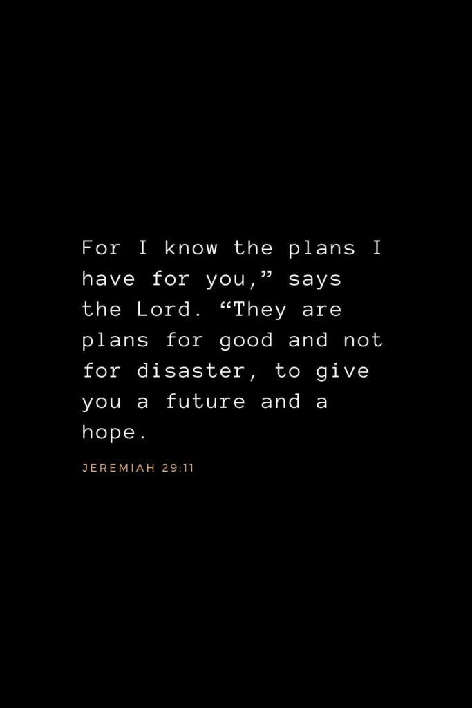 Wisdom Bible Verses (18): For I know the plans I have for you,” says the Lord. “They are plans for good and not for disaster, to give you a future and a hope. Jeremiah 29:11