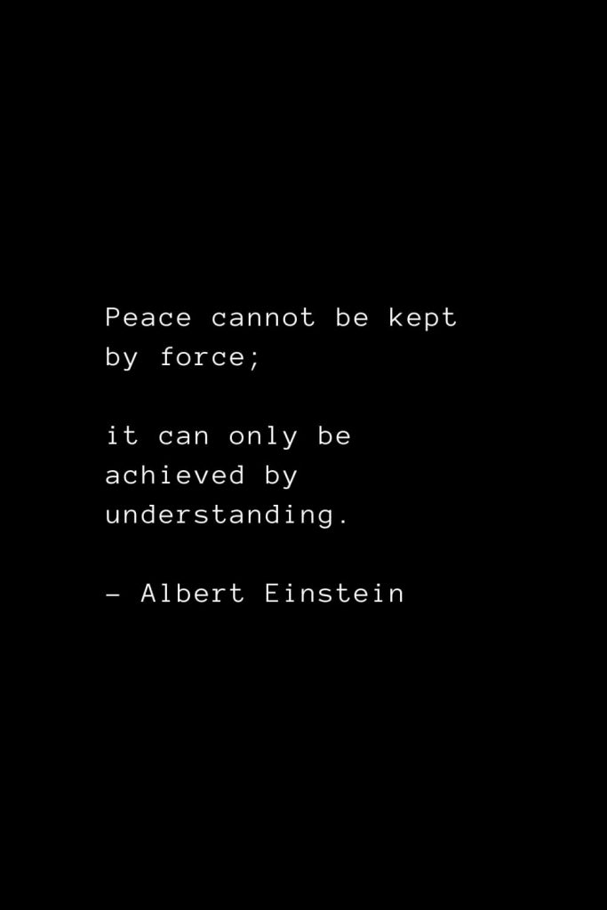 Peace cannot be kept by force; it can only be achieved by understanding. - Albert Einstein