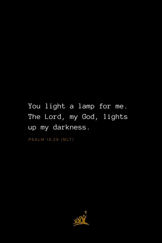Bible Verses about God (14): You light a lamp for me. The Lord, my God, lights up my darkness. Psalm 18:28 (NLT)