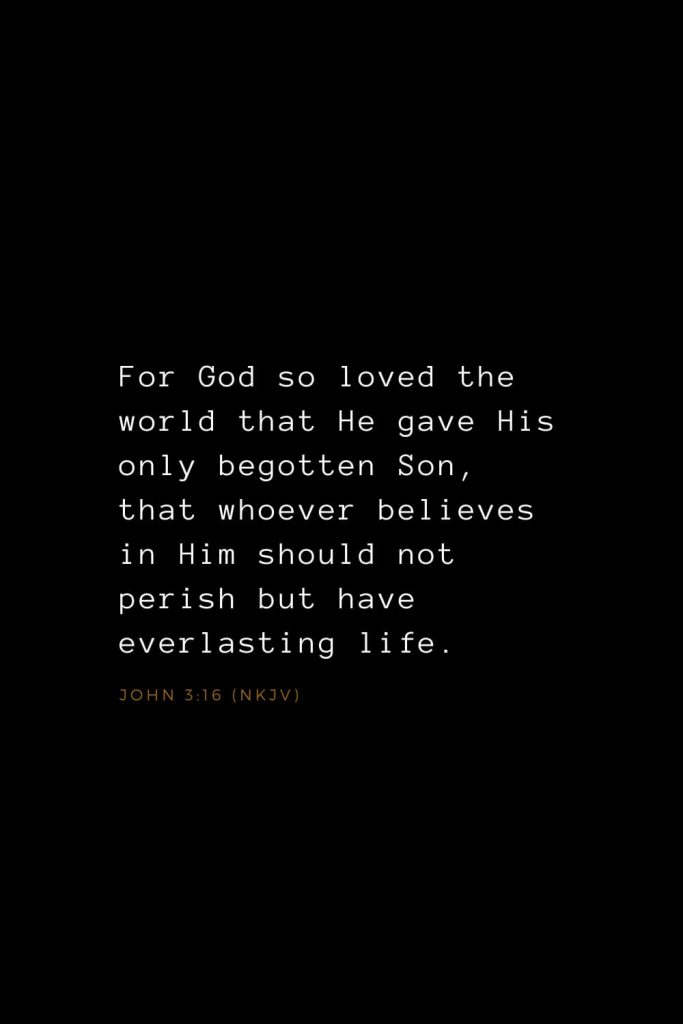 Bible Verses about Love (8): For God so loved the world that He gave His only begotten Son, that whoever believes in Him should not perish but have everlasting life. John 3:16 (NKJV)