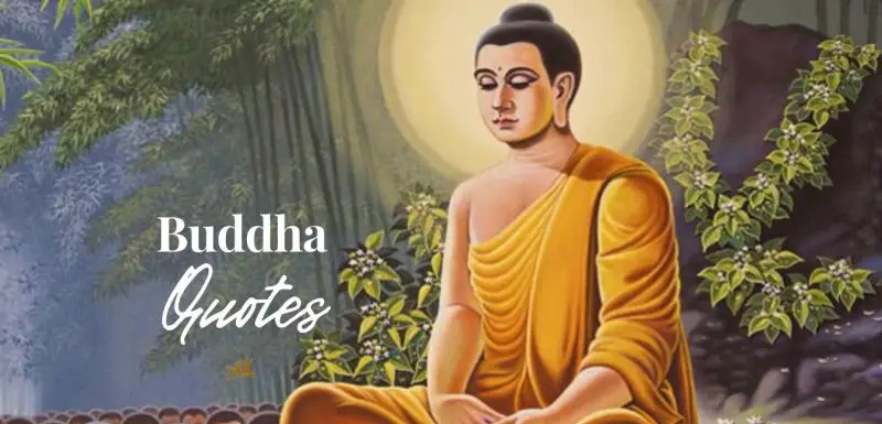 Inspirational Buddha Quotes about Peace, and Happiness