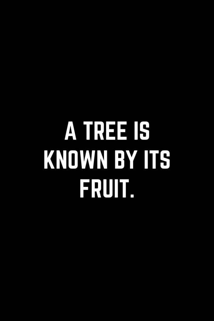 Family Quotes (41): A tree is known by its fruit.