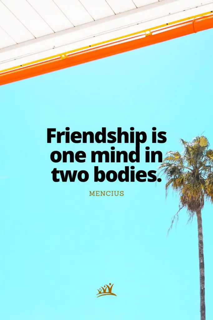 Friendship is one mind in two bodies. – Mencius