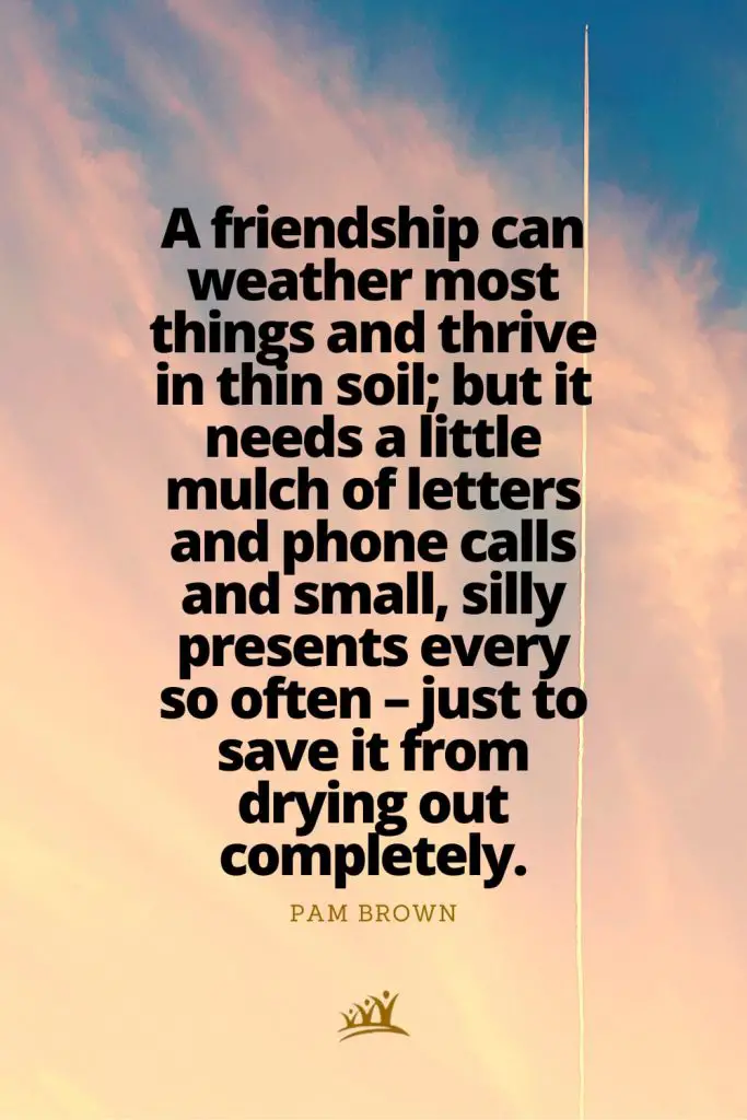 A friendship can weather most things and thrive in thin soil; but it needs a little mulch of letters and phone calls and small, silly presents every so often – just to save it from drying out completely. – Pam Brown