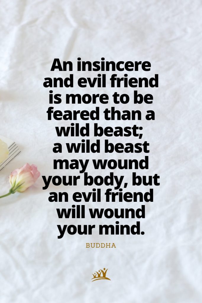 An insincere and evil friend is more to be feared than a wild beast; a wild beast may wound your body, but an evil friend will wound your mind. – Buddha