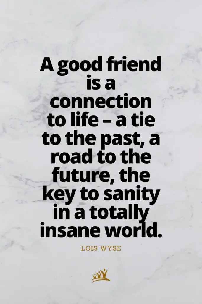 A good friend is a connection to life – a tie to the past, a road to the future, the key to sanity in a totally insane world. – Lois Wyse