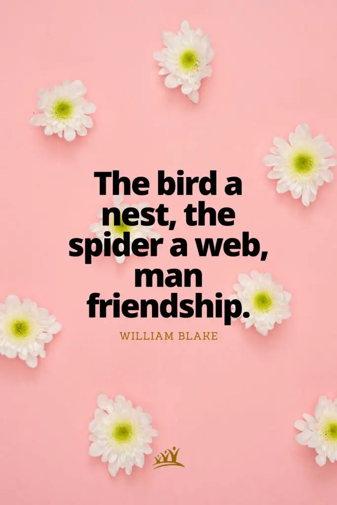 The bird a nest, the spider a web, man friendship. – William Blake