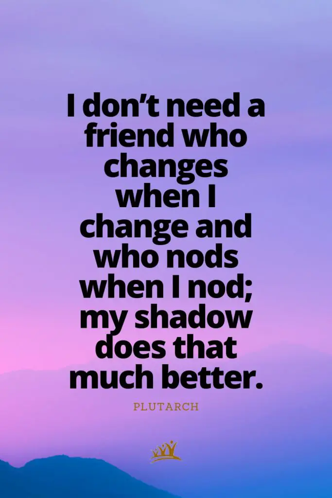 I don’t need a friend who changes when I change and who nods when I nod; my shadow does that much better. – Plutarch