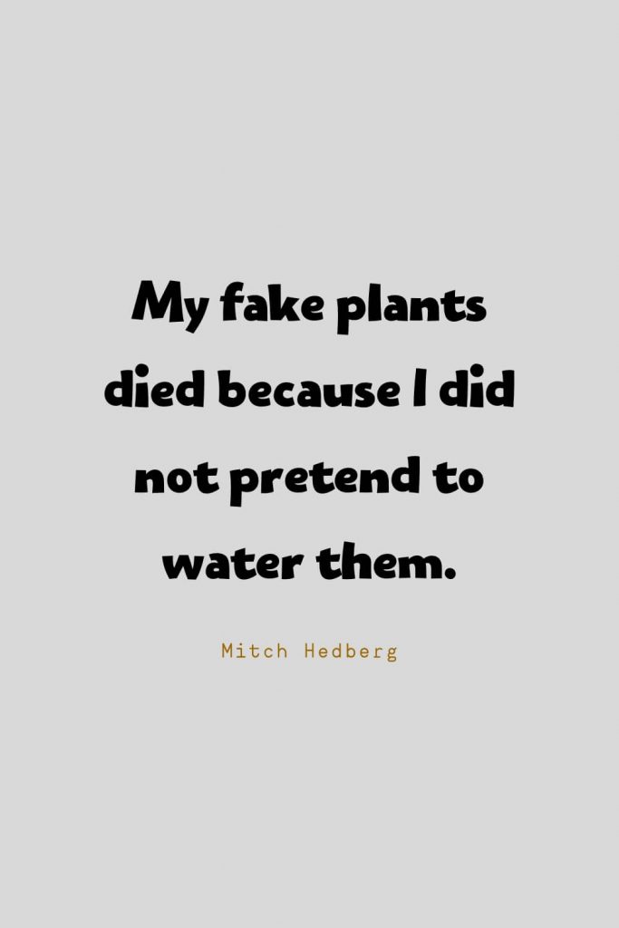 Funny Quotes (10): My fake plants died because I did not pretend to water them. -Mitch Hedberg