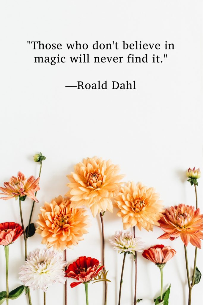 "Those who don't believe in magic will never find it." —Roald Dahl