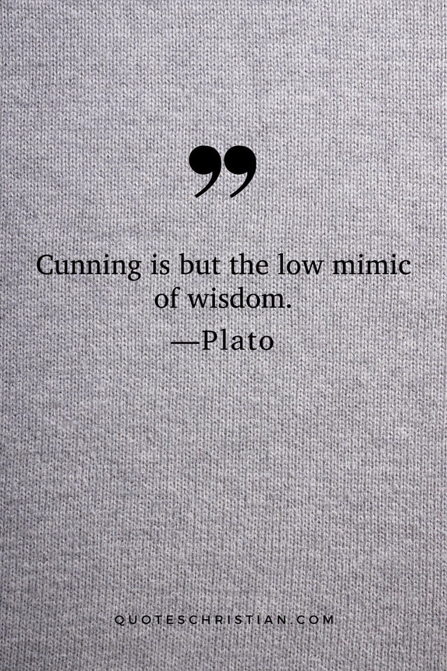 Quotes By Plato: Cunning is but the low mimic of wisdom.