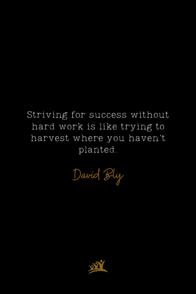 Striving for success without hard work is like trying to harvest where you haven’t planted. – David Bly