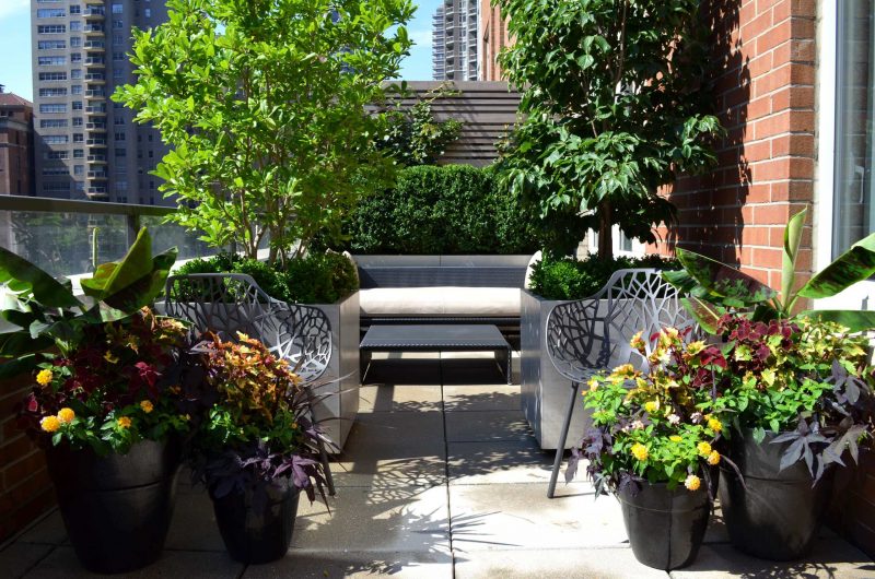 A classic upper east side terrace garden features horizontal slat ipe fencing, custom metal clad planter boxes and formal plantings. Ceramic feature planters