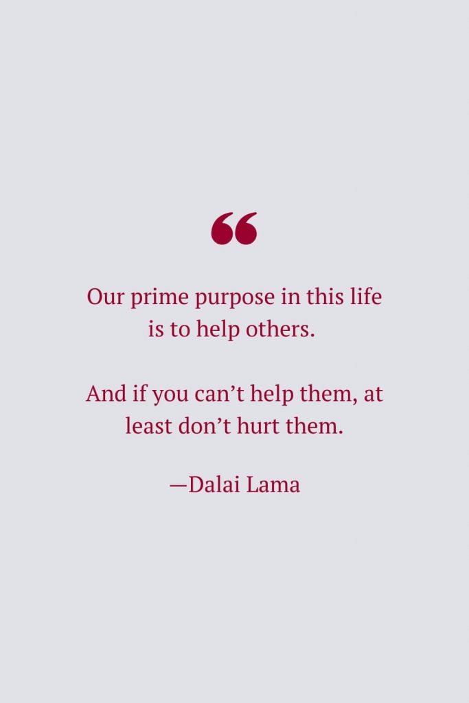 Our prime purpose in this life is to help others. And if you can’t help them, at least don’t hurt them. —Dalai Lama