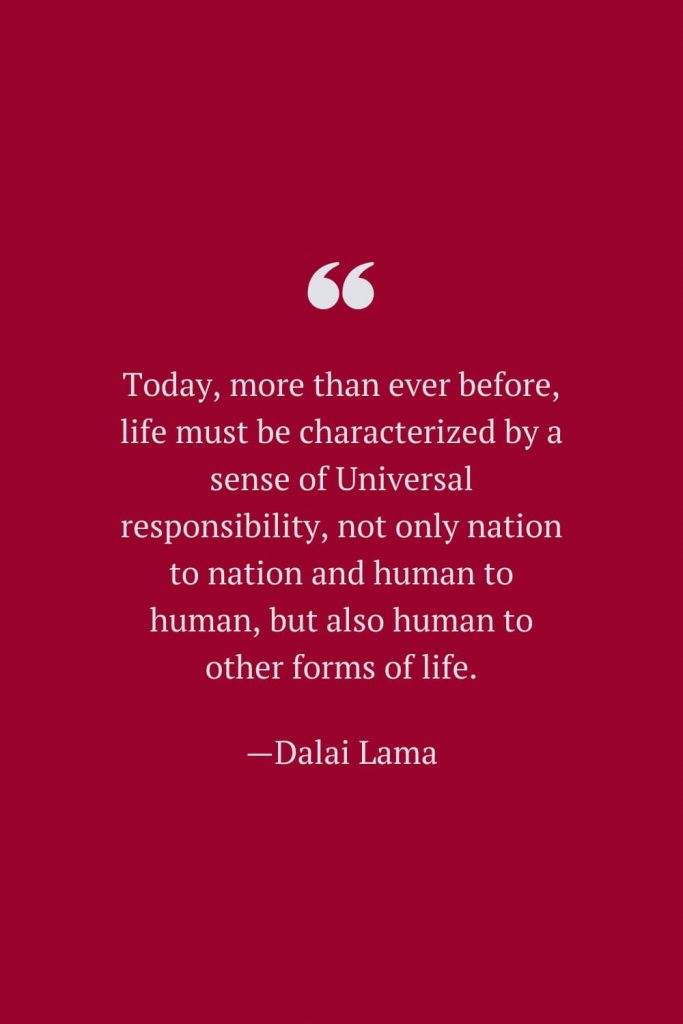 Today, more than ever before, life must be characterized by a sense of Universal responsibility, not only nation to nation and human to human, but also human to other forms of life. —Dalai Lama