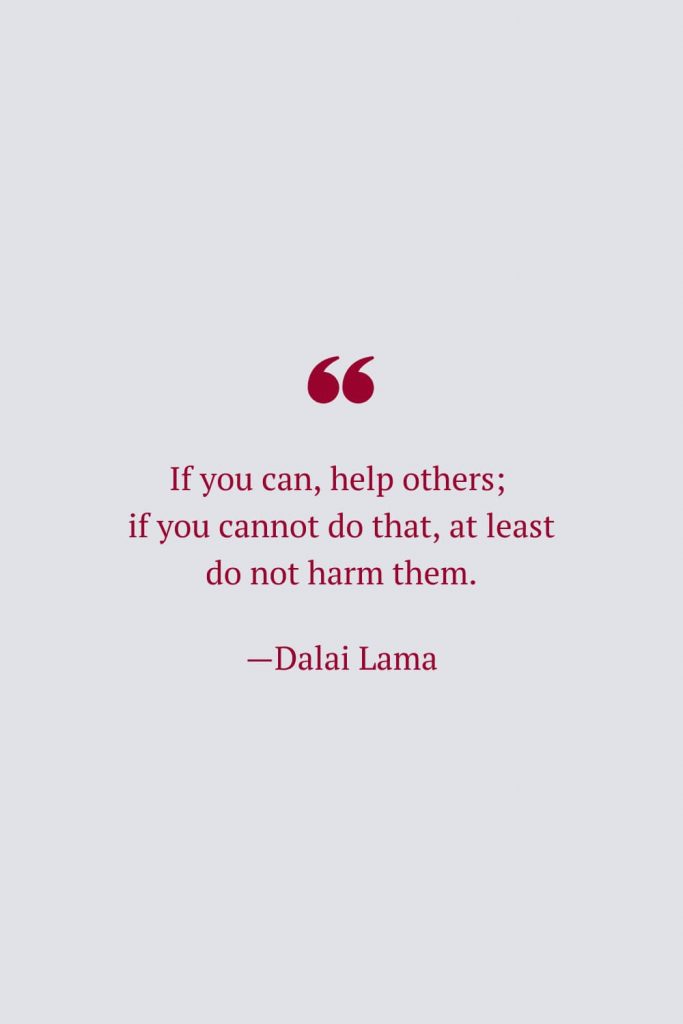 If you can, help others; if you cannot do that, at least do not harm them. —Dalai Lama