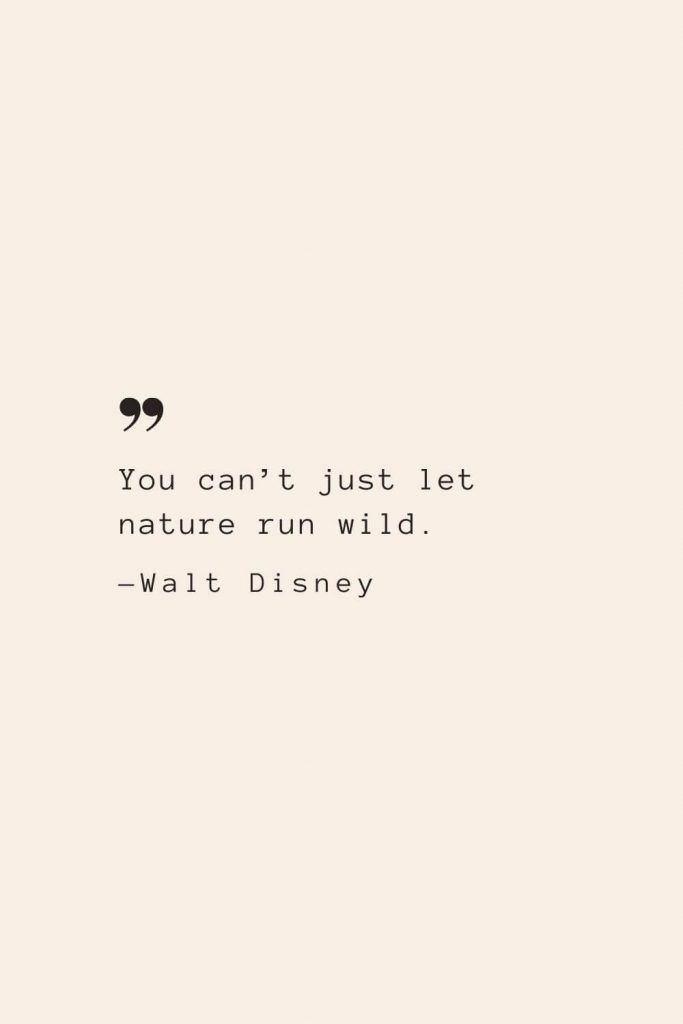 You can’t just let nature run wild. —Walt Disney