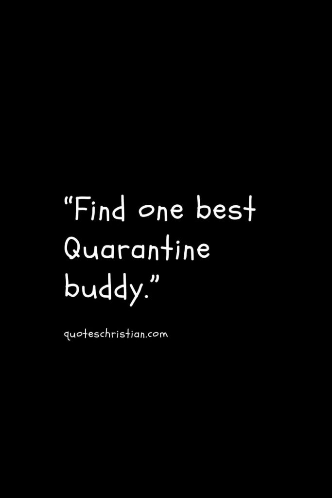 “Find one best Quarantine buddy.”