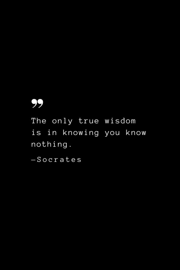 The only true wisdom is in knowing you know nothing. — Socrates