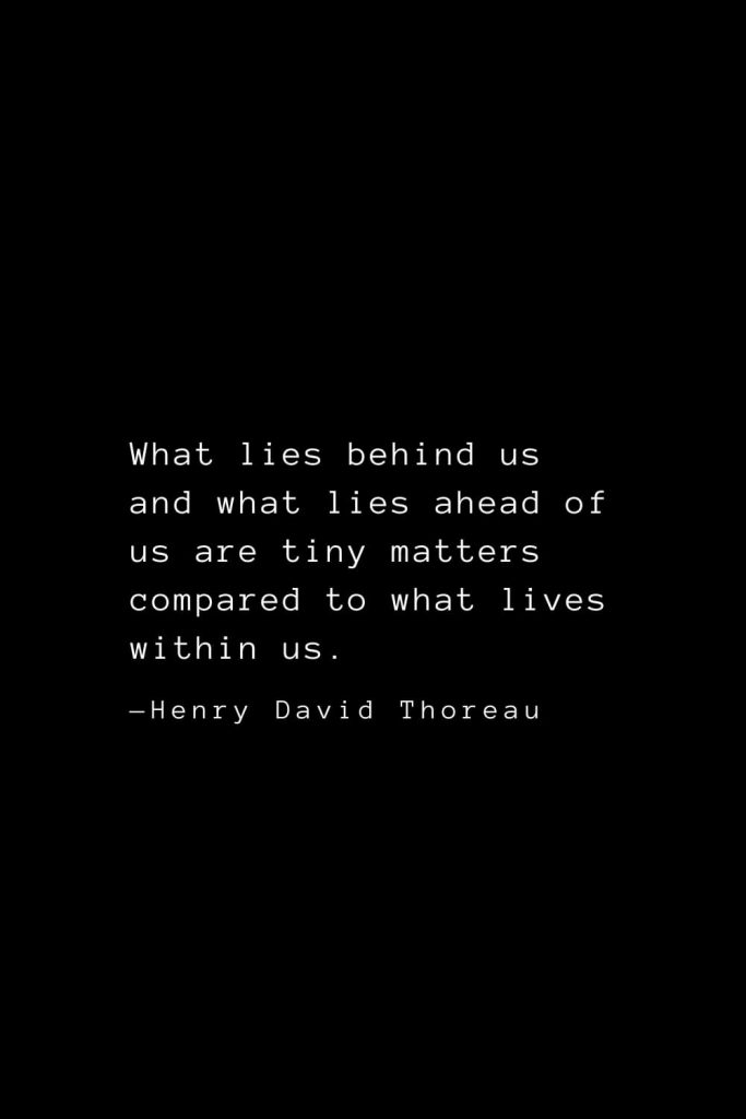 What lies behind us and what lies ahead of us are tiny matters compared to what lives within us. — Henry David Thoreau