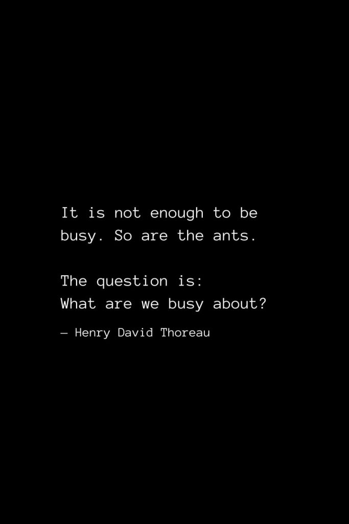 It is not enough to be busy. So are the ants. The question is: What are we busy about? — Henry David Thoreau