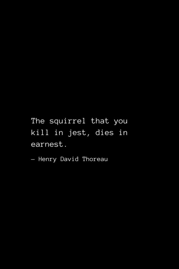 The squirrel that you kill in jest, dies in earnest. — Henry David Thoreau