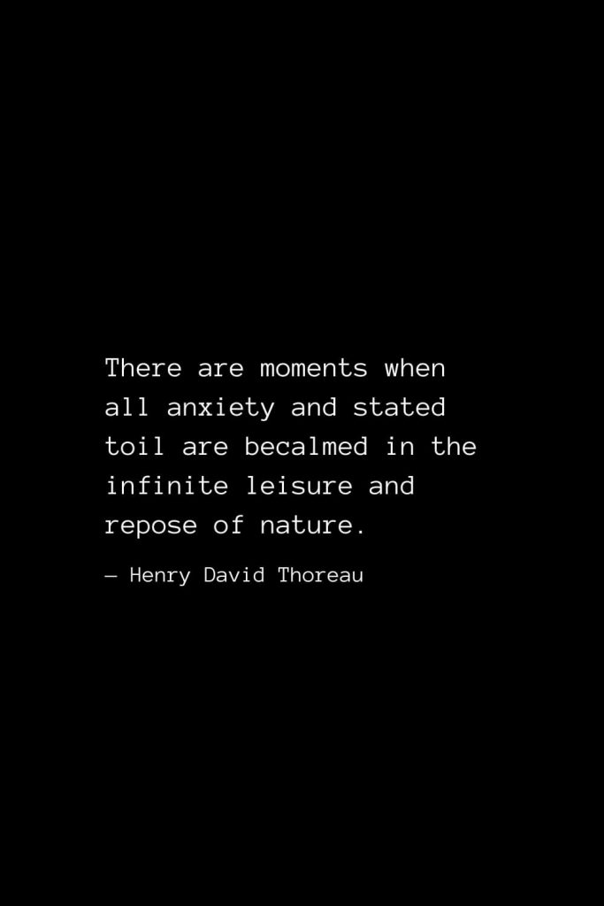 There are moments when all anxiety and stated toil are becalmed in the infinite leisure and repose of nature. — Henry David Thoreau