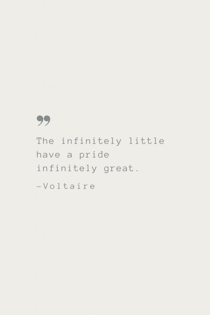 The infinitely little have a pride infinitely great. –Voltaire