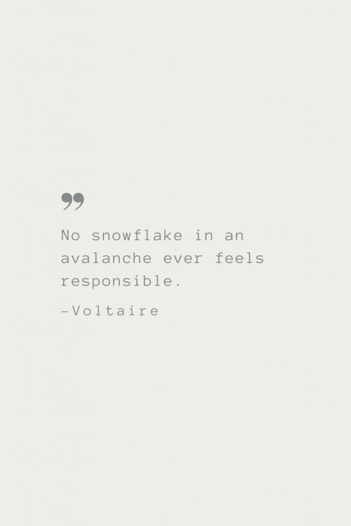 No snowflake in an avalanche ever feels responsible. –Voltaire