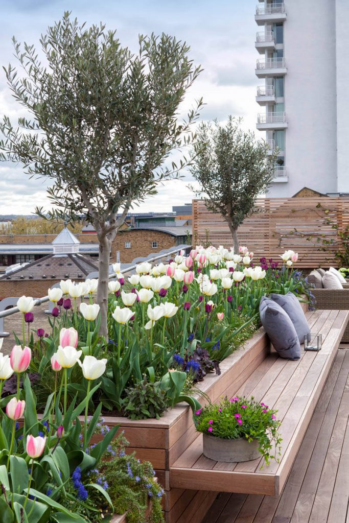 Roof Terrace at New Concordia Wharf