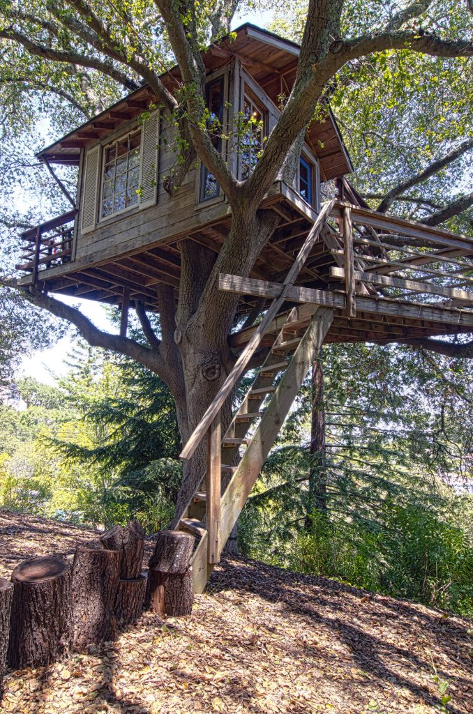 Rustic Granny Flat or Shed, San Francisco 1