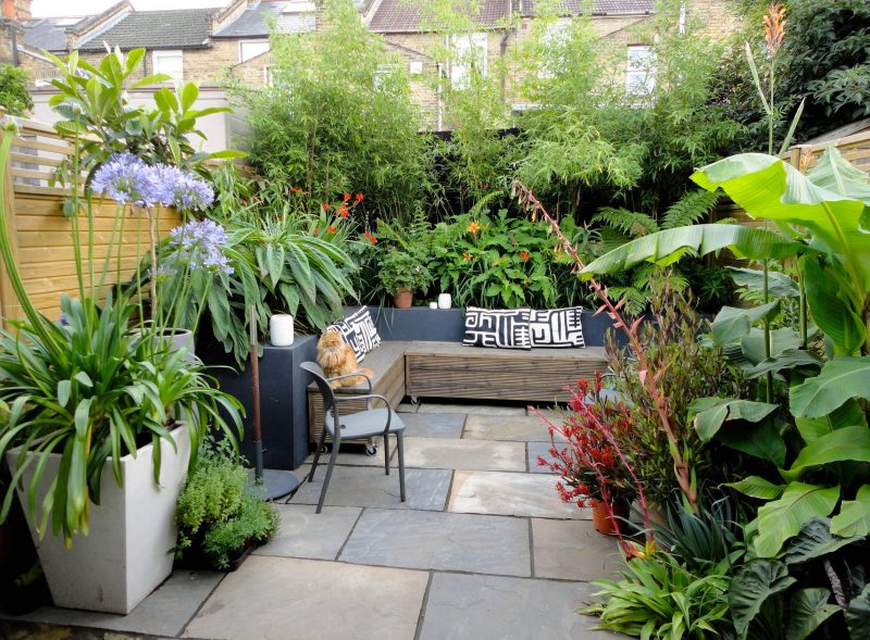 The finished garden, an abundance of plants compliment the design of this garden.