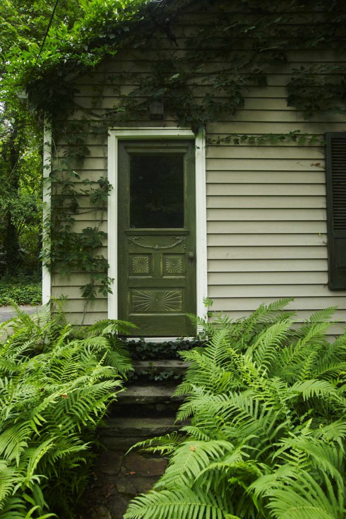 Different decor for front door