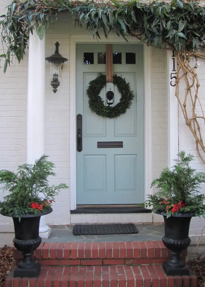 Amazing front door ferns