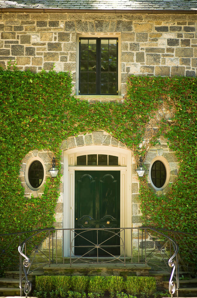 Dream home front door