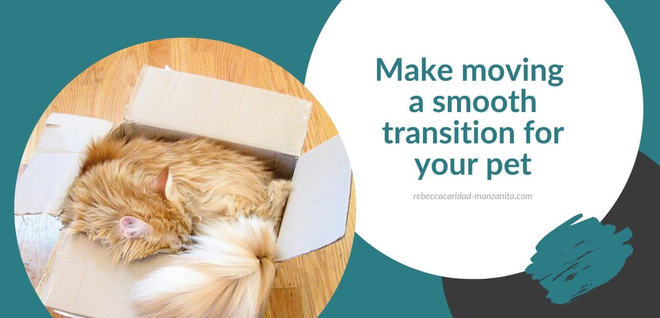 Make moving a smooth transition for your pet