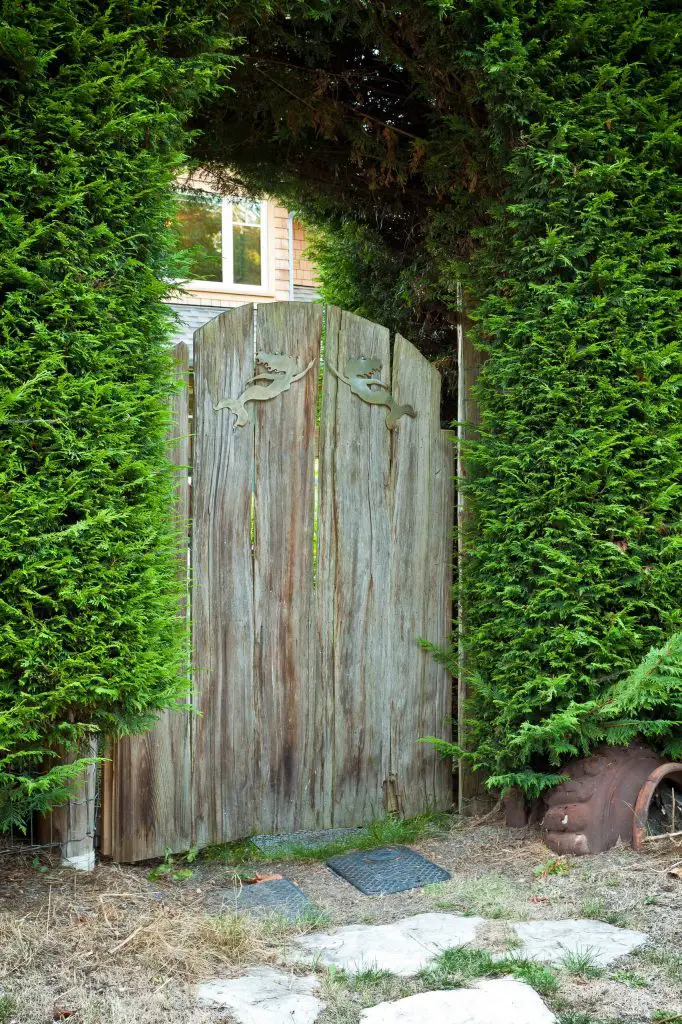 A wood gate with laser cut stainless steel mermaids creates a majestic entry to a Vancouver garden when surrounded