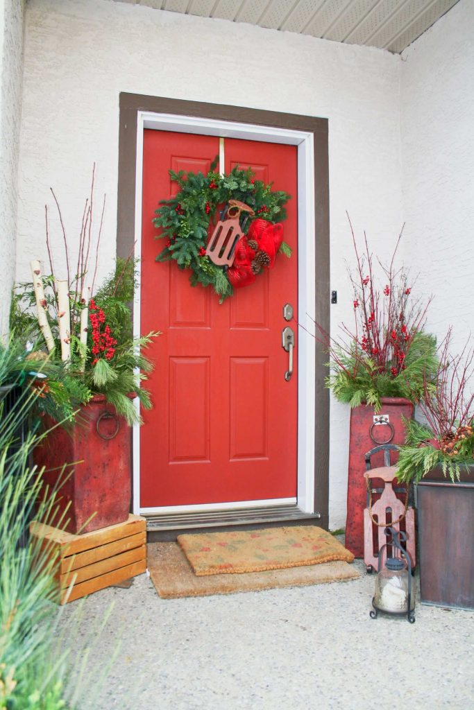 Look for colored branches from plants like white birch and redtwig dogwood.