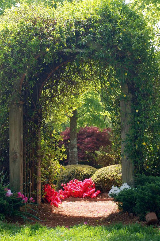 The woodwork and puts on a show when the Carolina jessamine is in bloom.