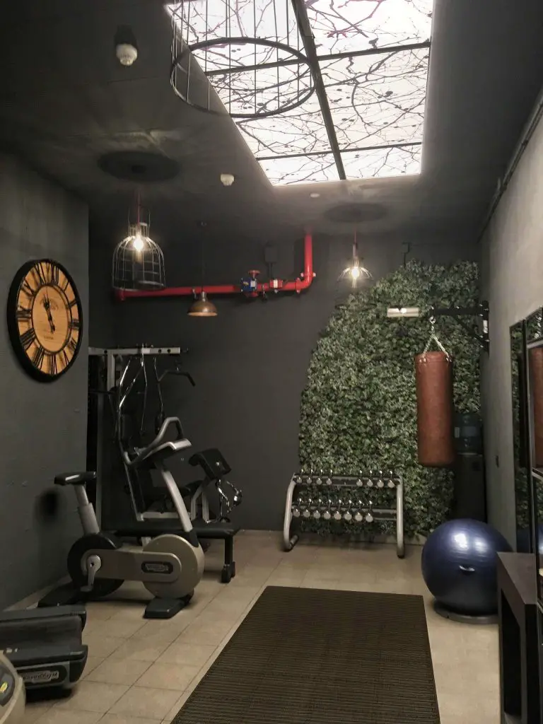 Use Biophilic Design Principles in the Home Gym