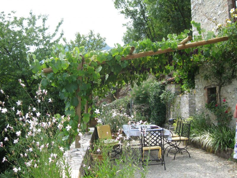 Vine Topped Pergola