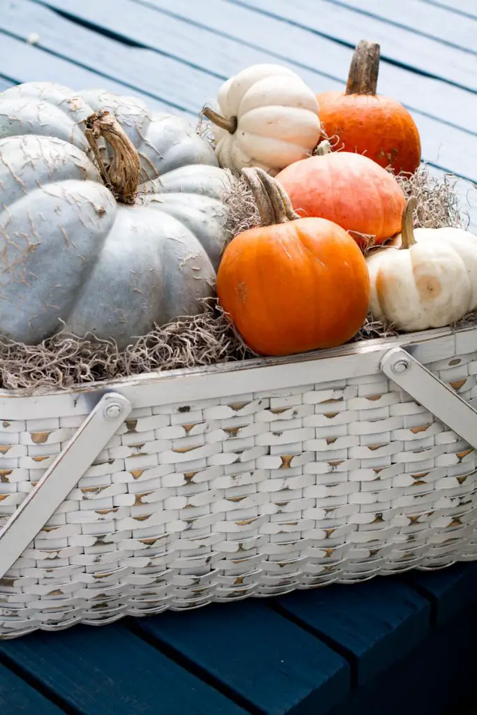 Put together a pumpkin basket