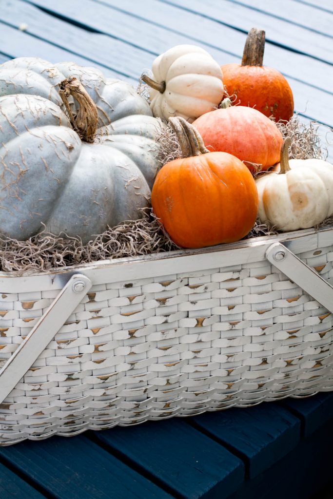 Put together a pumpkin basket