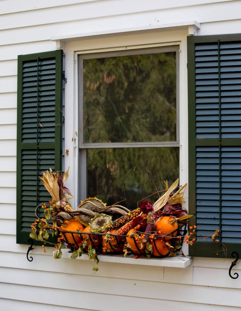 Refresh Window Boxes