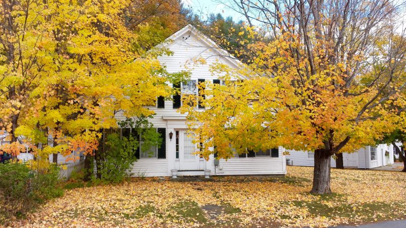 Skip Raking Leaves